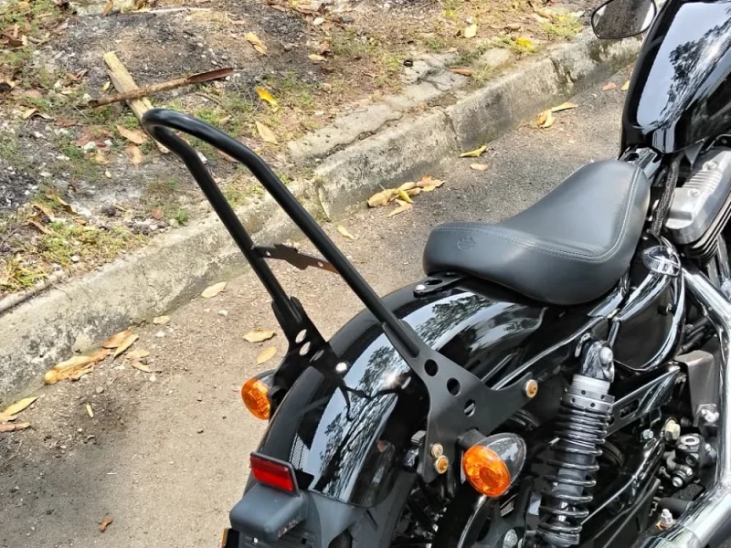 HARLEY DAVIDSON SPORTSTER 48 — stok SM93