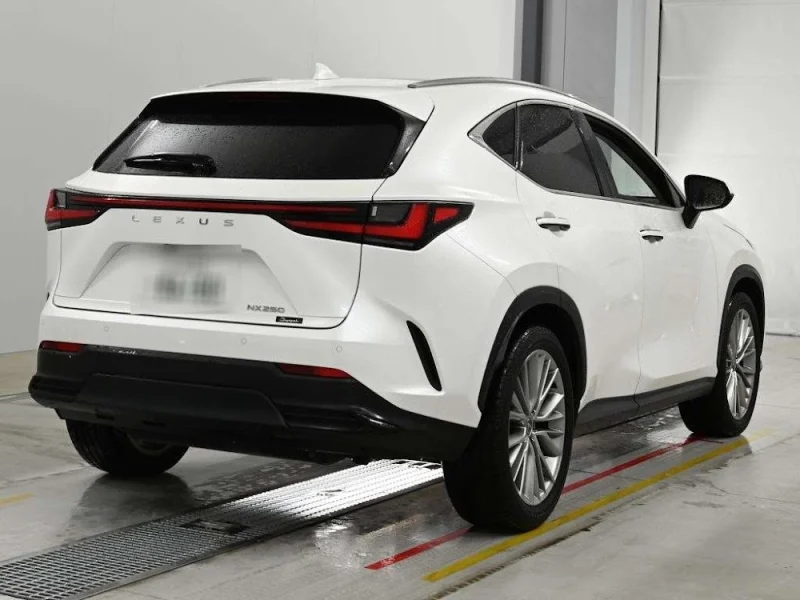 LEXUS NX250 VERSION L — stok SA2433