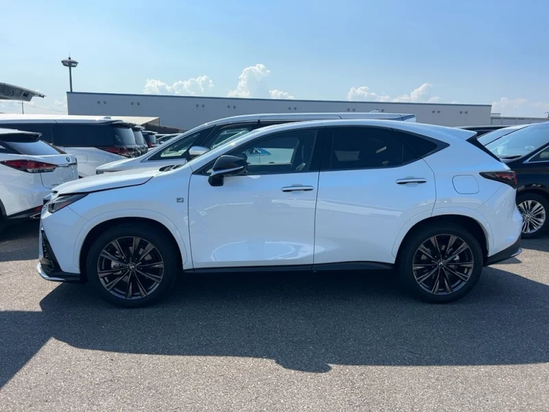 LEXUS NX350 F SPORT — stok SA2294